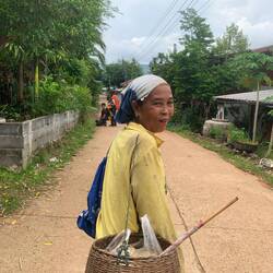 This is how the local community people earn an extra income by picking mushroom from the forest.