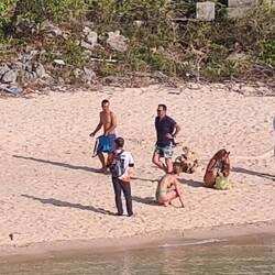 Eine weitere Affeninsel