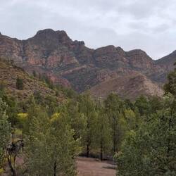 Eastern hills/mountains of Wilpena Pound from Wilcolo Track or outside track
