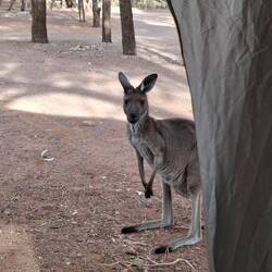 The locals can get a bit too friendly