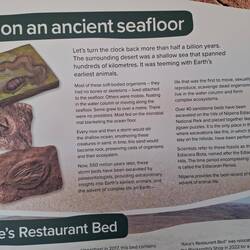 Tours only @ Ediacara NP to protect the fossil site from theft. Started in 2024