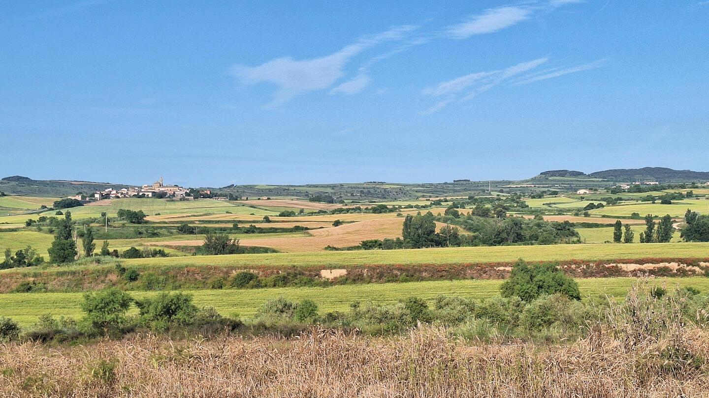 Sasol and countryside
