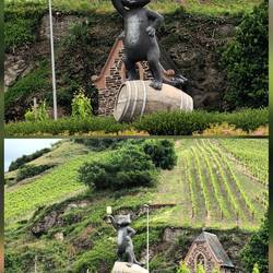 Zell und seine Schwarze Katz