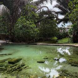 37 Grad warm! Kein Geruch nach faulen Eiern! Eingebettet im Dschungel! Soooo wohltuend!