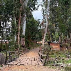 Der Weg ist das Ziel. Auch wenn der Weg wenig vertrauenserweckend erscheint! Es gilt: Vorwärts!