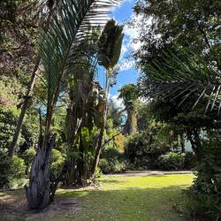 ...ein botanischer Garten... ...Wellness für die Augen...