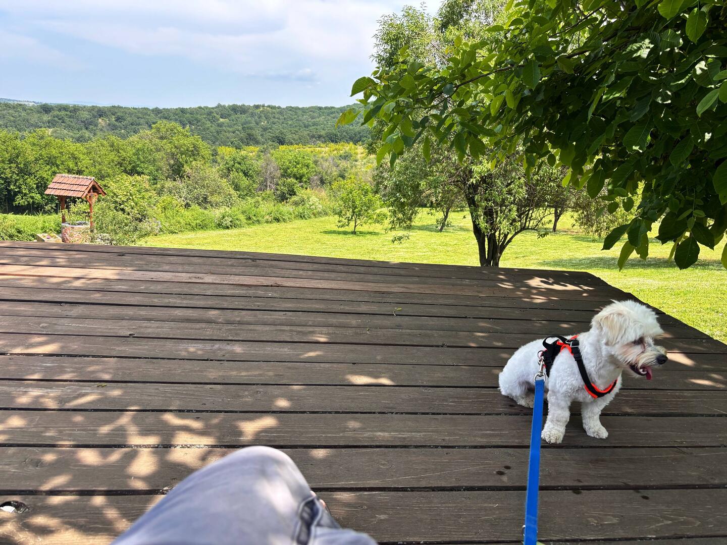 heute eine kürzere Reise, damit Lehnann sich etwas erholen kann
