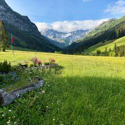 Naafkopf / Schneetälispitz, 2.570 m