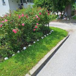 ... direkt an der Hauptstraße