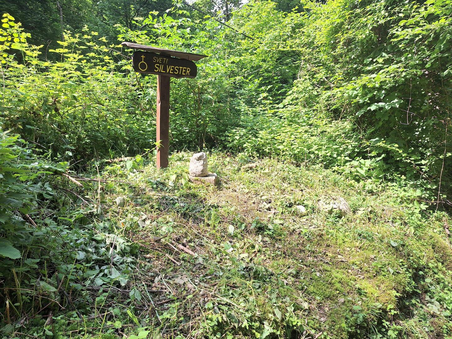 Auf dem Waldweg nach Bovec