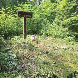 Auf dem Waldweg nach Bovec
