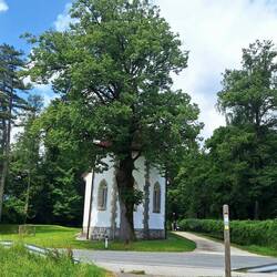 Kirche Cerkev Device Marije, Polju