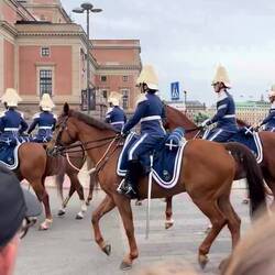 Swedish Royals!