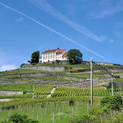 De wijngaarden en bijhorende domeinen.