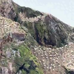 Natürlich alles nur in Französisch 🙄