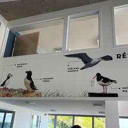 Und die vier auch 😁