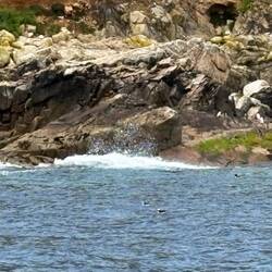 und hier auch zwei 👍