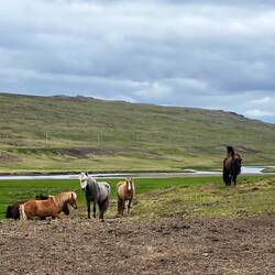 Into the wind, into the wilds