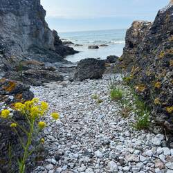 Am nächsten Morgen - Raukenfeld von Holmhällar