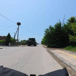 Heute wird gemähdrescht