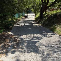 Wer sein Fahrrad liebt, der schiebt.