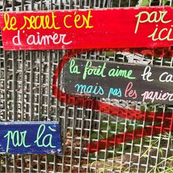 Caca liebt der Wald😁😁😁