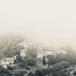 ...das sich in Nebel eingetaucht verabschiedet.