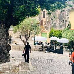 Einer der hundert ältesten Bäume Frankreichs: Ulme aus dem 18. Jhdt.