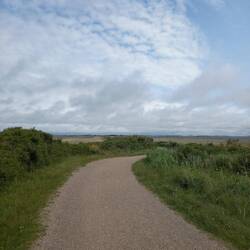 Beginn des "Bagges Dæmning", ein Damm durch den Ringkøbing Fjord