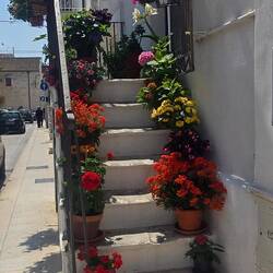 Steps lined with a rainbow of colour