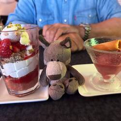Erdbeer-Rhabarber-Tiramisu und Himbeer-Sorbet