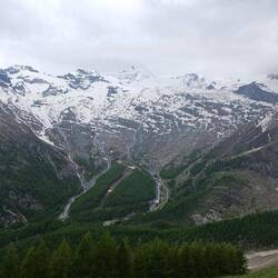 Ausblick für die nächsten 3 Monate