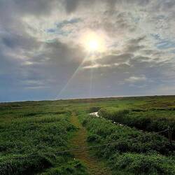 Byebye Du schöner Strand!