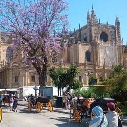 Der Palast mit Kutschen und blauen Blüten in den Bäumen