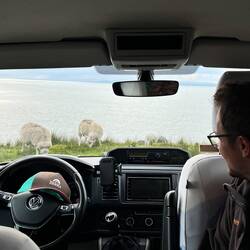 Schlafplatz mit Schafen und Meerblick