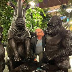 Monkeys im Zwiegespräch