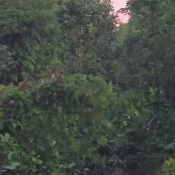 We ds erste passiert gseh mir zzwöite 😅 bis zum schluss luege🐊