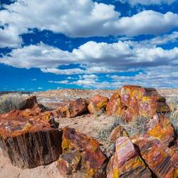 Hat sich gut gehalten für sein Alter: das steinerne Holz