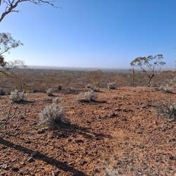Looking back over Leigh Creek township, with Copley behind