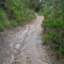 Lovely rugged trail