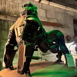 Bosca (the gorilla) by Chris Meder