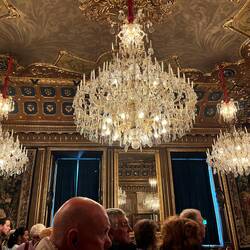 Splendid chandelier