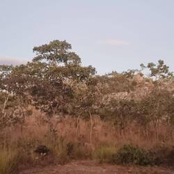 Ziel grade rechtzeitig erreicht