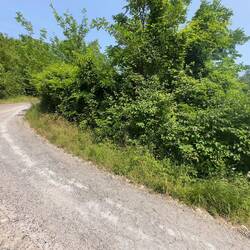 Viel zu steil für unsere Bremsen. Bald mussten wir die Räder runter schieben.