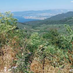 Durch Olivenhaine und Feigenplantagen