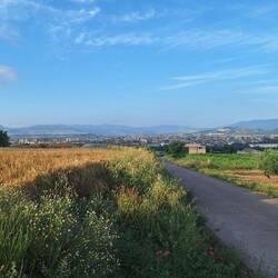 Coming into Logrono