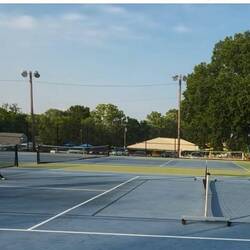 Jump Cody jump! Darn ... barely misses it!