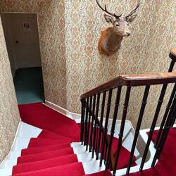 A true scottish home, 3 stories high with a deer head