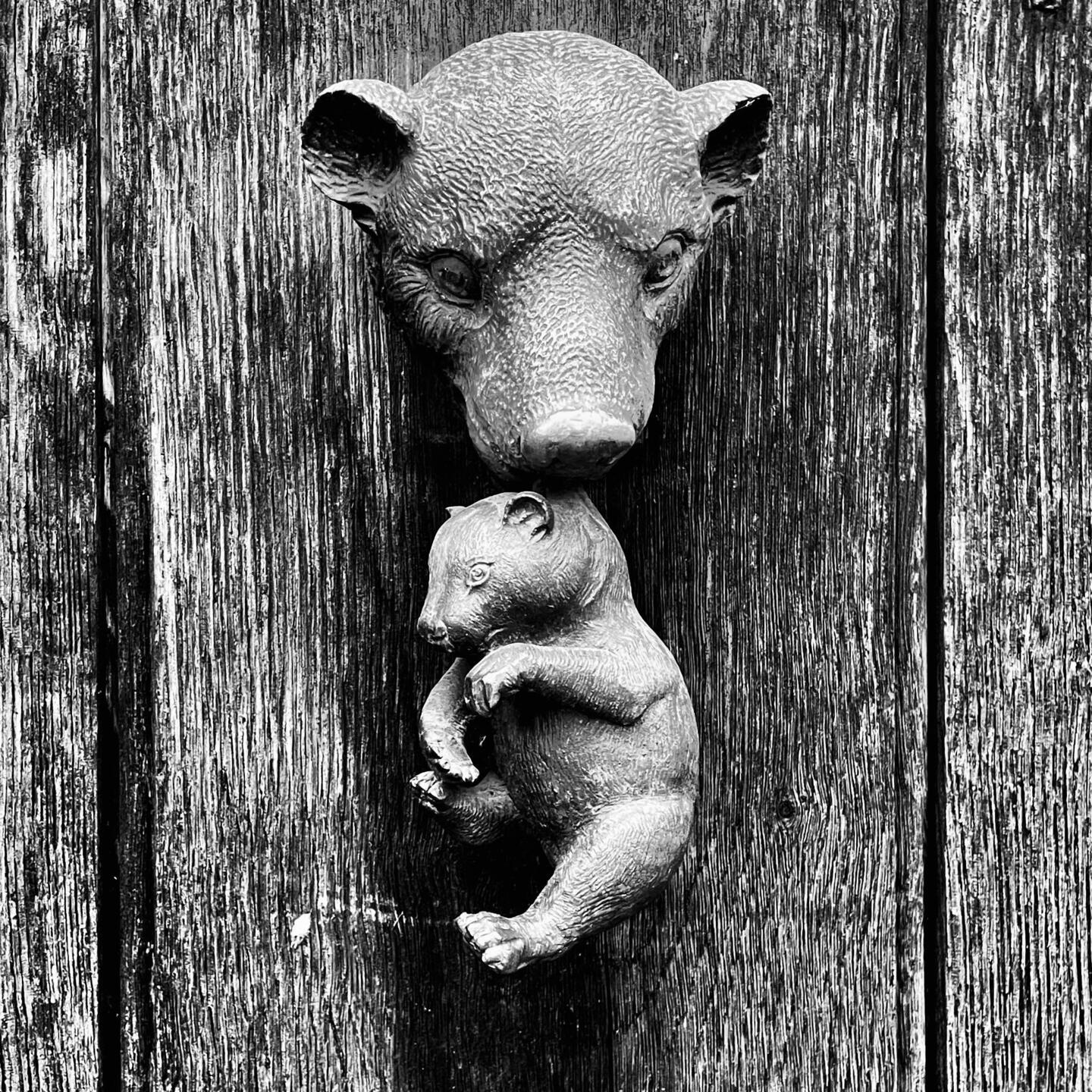 weird door knocker