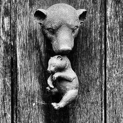 weird door knocker